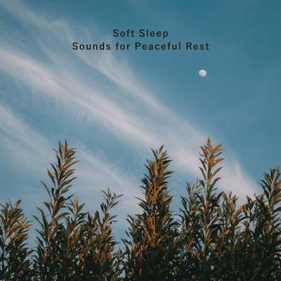 Soft Sleep Sounds for Peaceful Rest