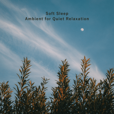 Soft Sleep Ambient for Quiet Relaxation