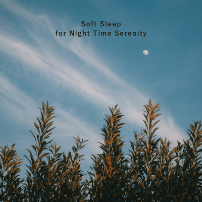 Soft Sleep for Night Time Serenity