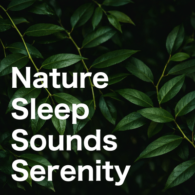 Nature Sleep Sounds Serenity