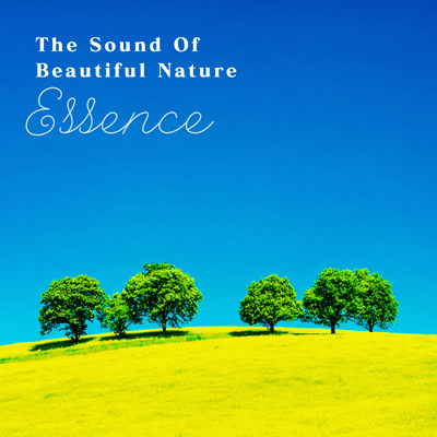 Nature Sound Scape Radiant