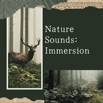 The Sound Of Beautiful Nature Infinity