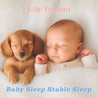 Baby Sleep Stable Sleep