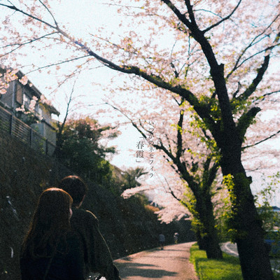 Haru gasumi