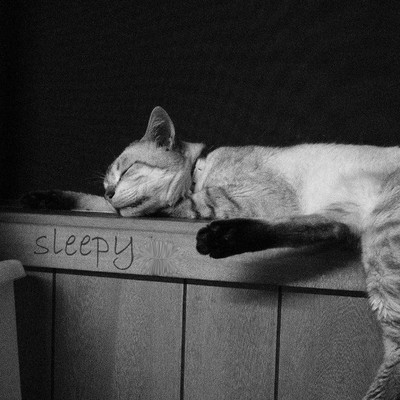 Sleepy