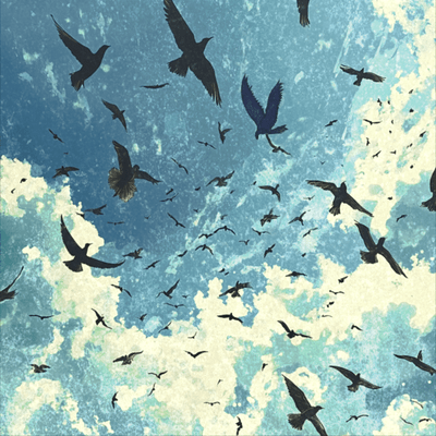Migratory Birds