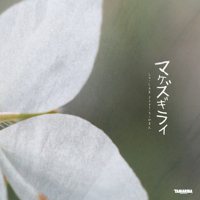 MAKEZUGIRAI (feat. chiikaman)