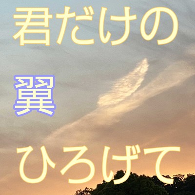 Spread the wings that only you have