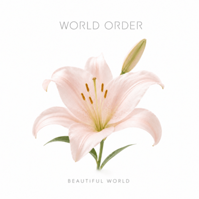 BEAUTIFUL WORLD