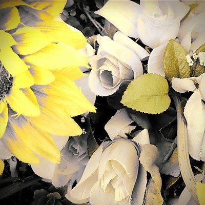 Hazy yesterday , tomorrow in the drops