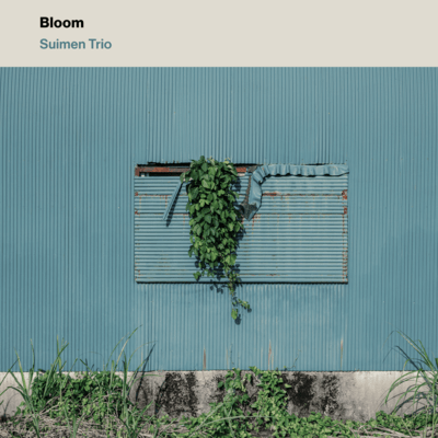 Bloom