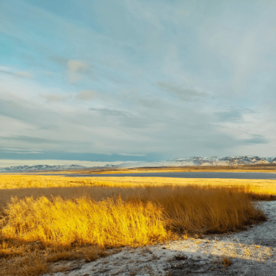 I Went But Didn't Stay There