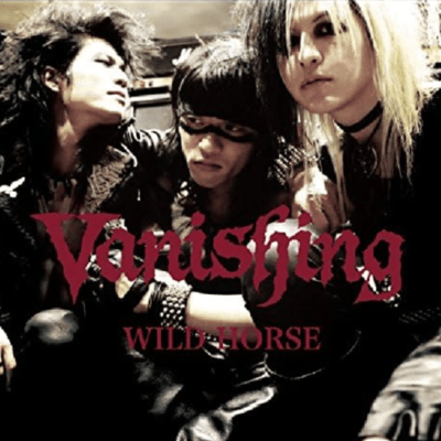 WILD HORSE