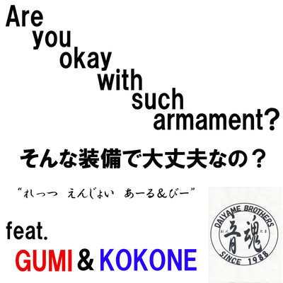 Are you okay with such armament?