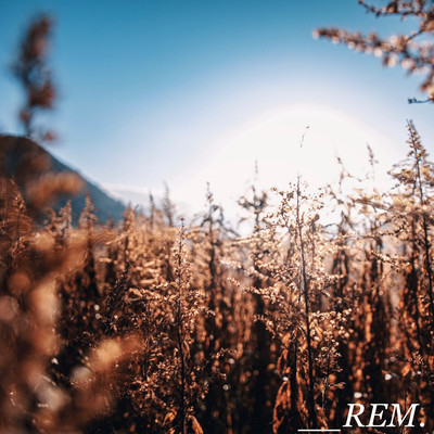 __REM.