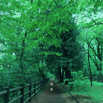 sprout (re-recording)