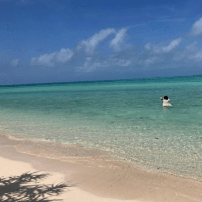 SUMMER NO FINISH (feat. greencat)