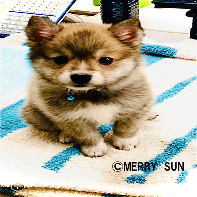 Madonna on the veranda