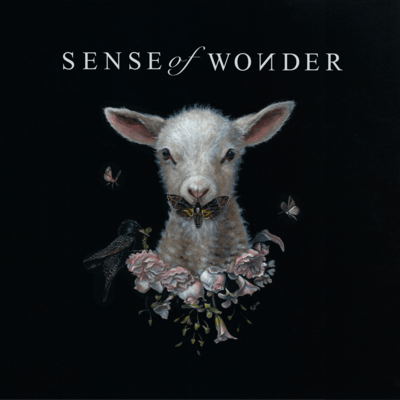Sense of Wonder