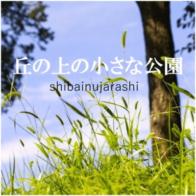 A Small Park on the Hill