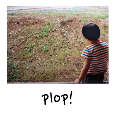 plop!
