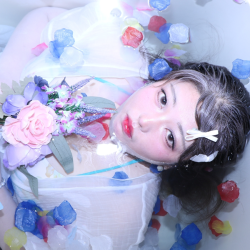 Saki Tanitoshi