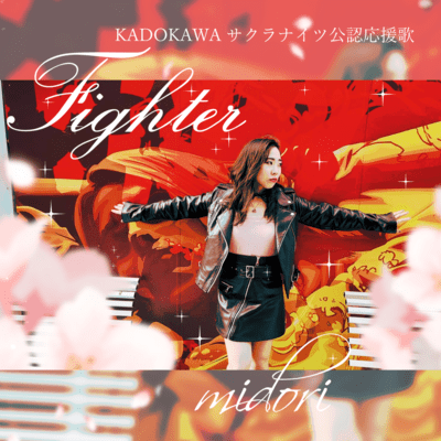 Fighter