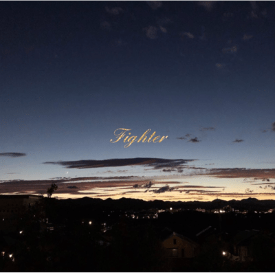 Fighter