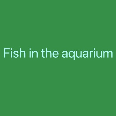Fish in the aquarium