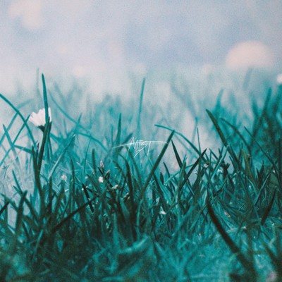 MIST