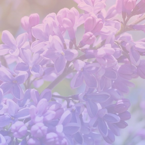 mariko lilac