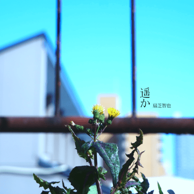 Far