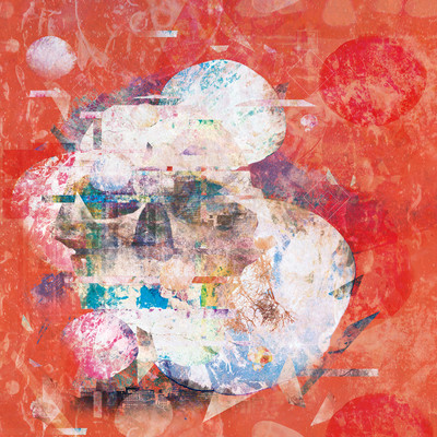 Beautiful Homo sapiens