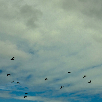 99cc (feat. jyakzure)