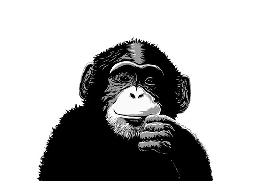 Miracle chimpanzee