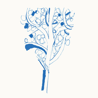 Sketches