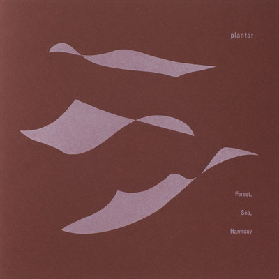 Forest, Sea, Harmony