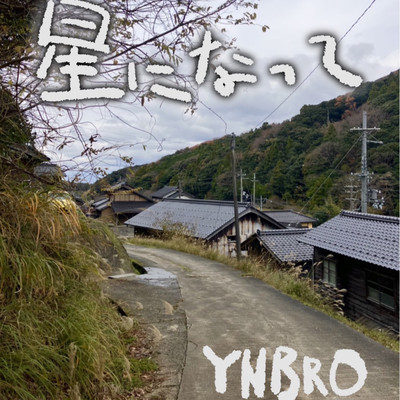HOSHIninatte