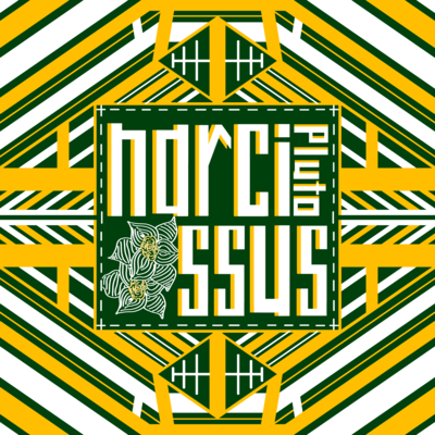 narcissus