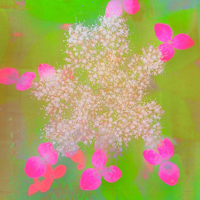 Tasokare (feat. Risa Satosaki)