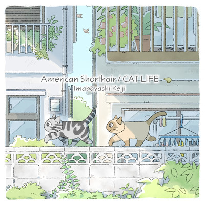 CAT LIFE (2022 ver.)