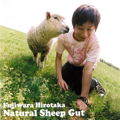 Natural Sheep Gut