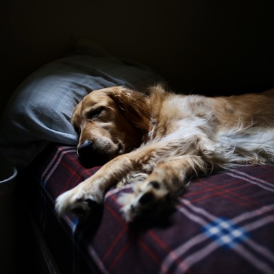 Yasashii Uta (feat. to_Moe)