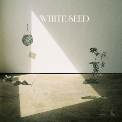 WHITE SEEED