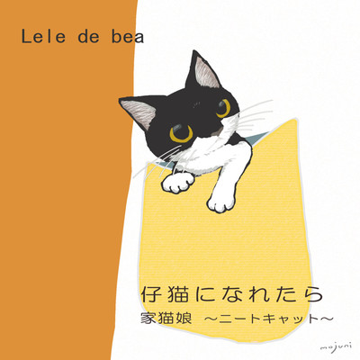 If I could be a kitten