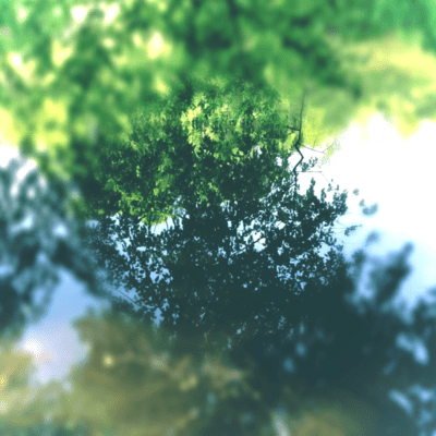 One drop (2026 Remaster)