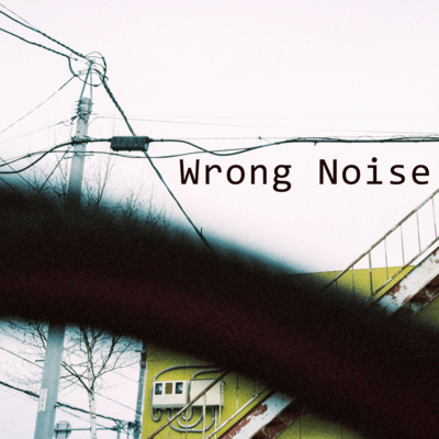 Wrong Noise
