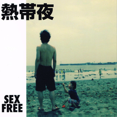 Summer moonlit night