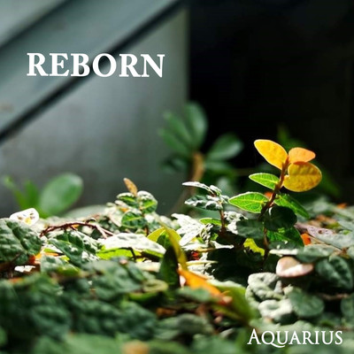 REBORN