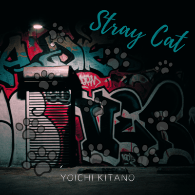 Stray Cat
